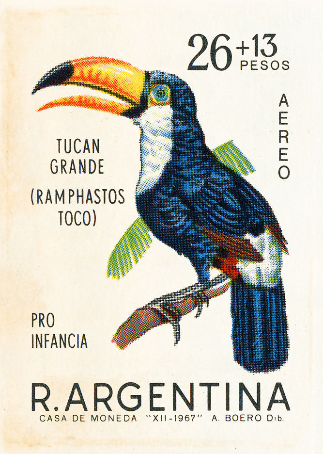 ARGENTINA 2 Argentina Tropical Toucan Bird postage stamp art print