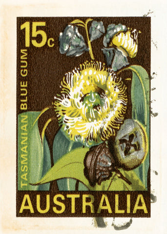 AUSTRALIA 5