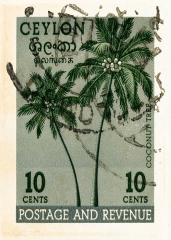 CEYLON 1