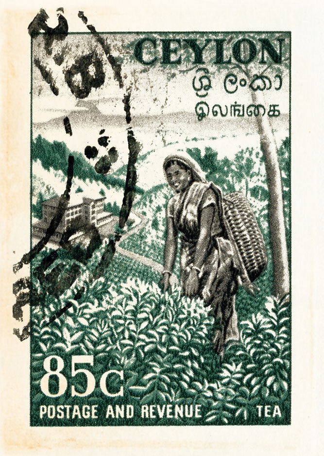 CEYLON 3 CEYLON 3