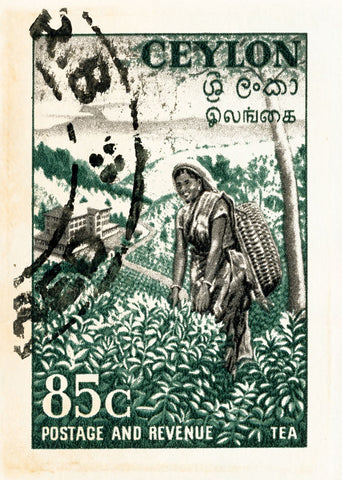 CEYLON 3