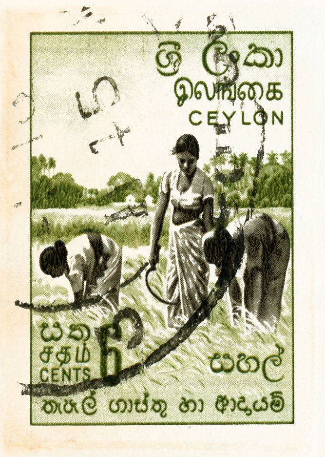 CEYLON  4