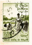 CEYLON  4