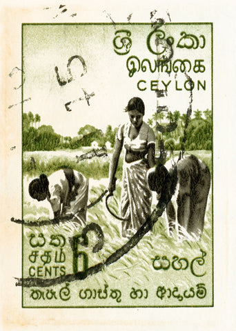 CEYLON 4