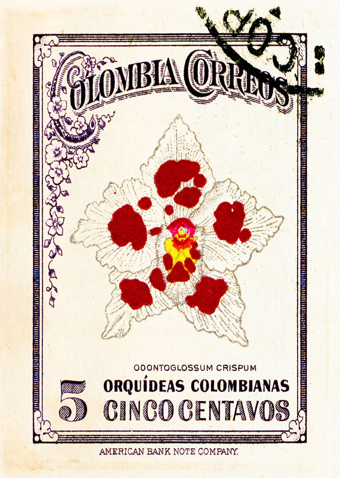 COLOMBIA 1 COLOMBIA 1