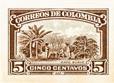 COLOMBIA 5