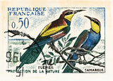 FRANCE 16