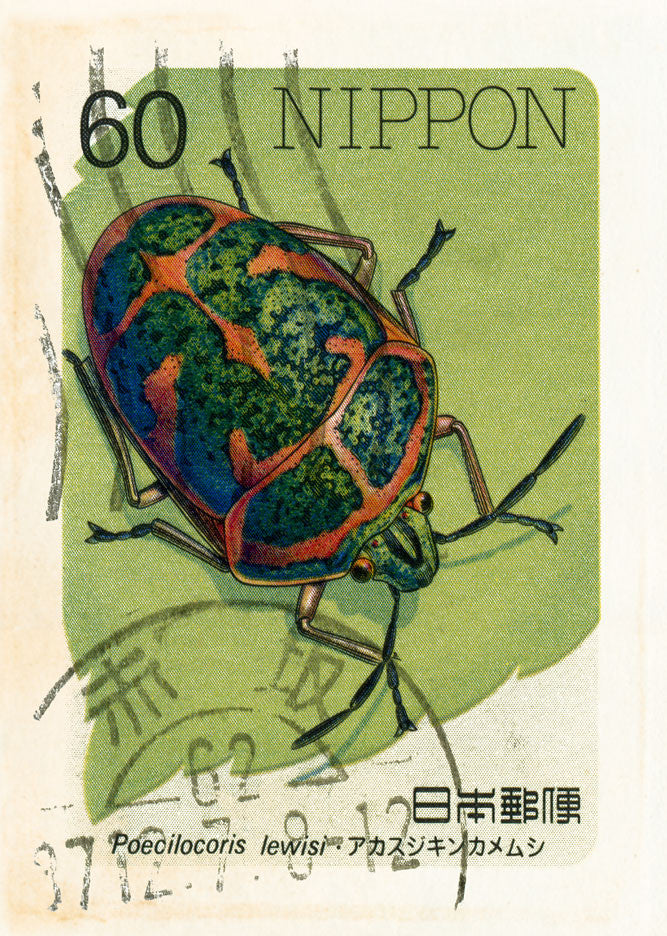 JAPAN 5 JAPAN 5