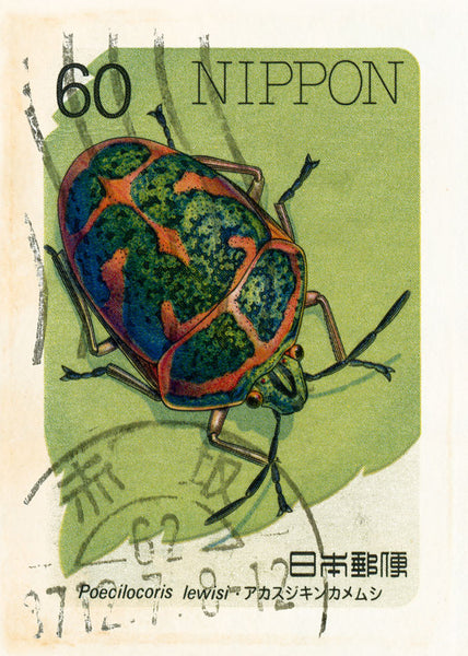 JAPAN 5