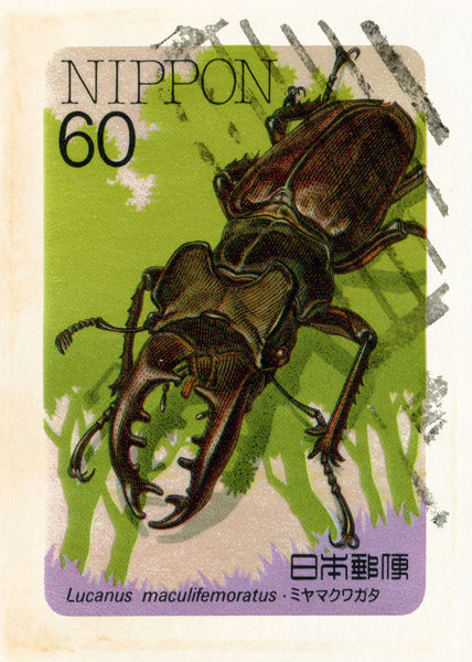 JAPAN 8