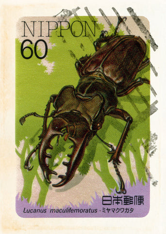 JAPAN 8