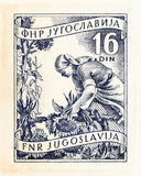 YUGOSLAVIA 9