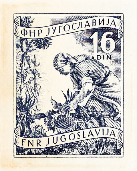 YUGOSLAVIA 9