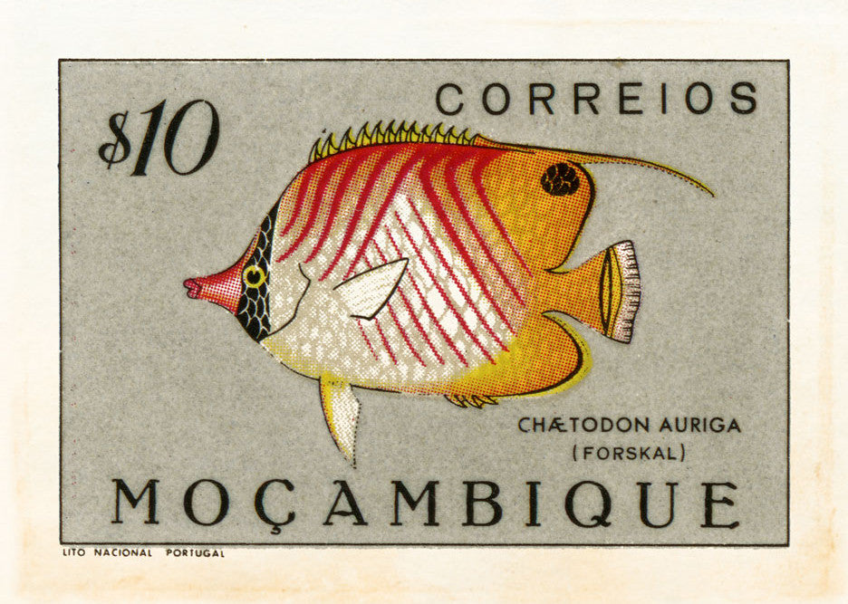 MOZAMBIQUE 10 MOZAMBIQUE 10