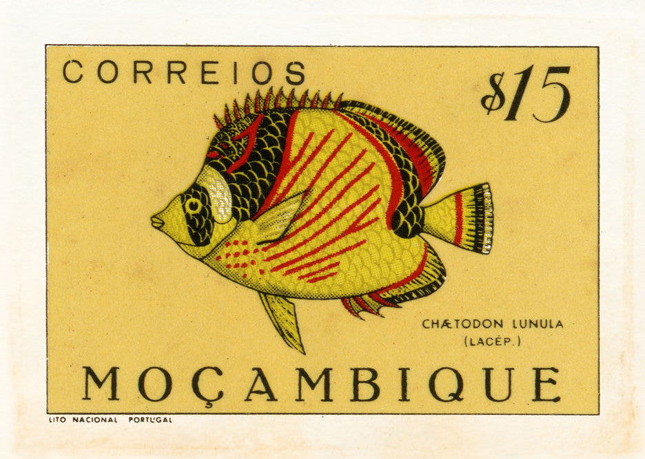 MOZAMBIQUE 11 MOZAMBIQUE 11
