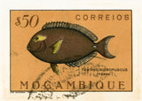 MOZAMBIQUE 12