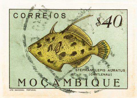 MOZAMBIQUE 14