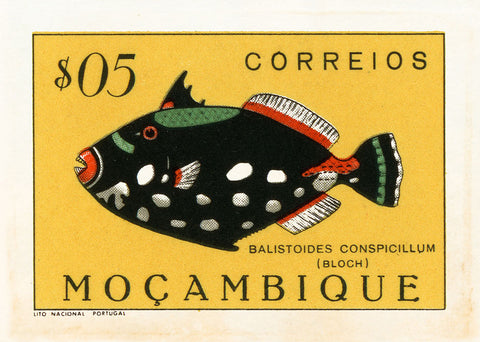 MOZAMBIQUE 15