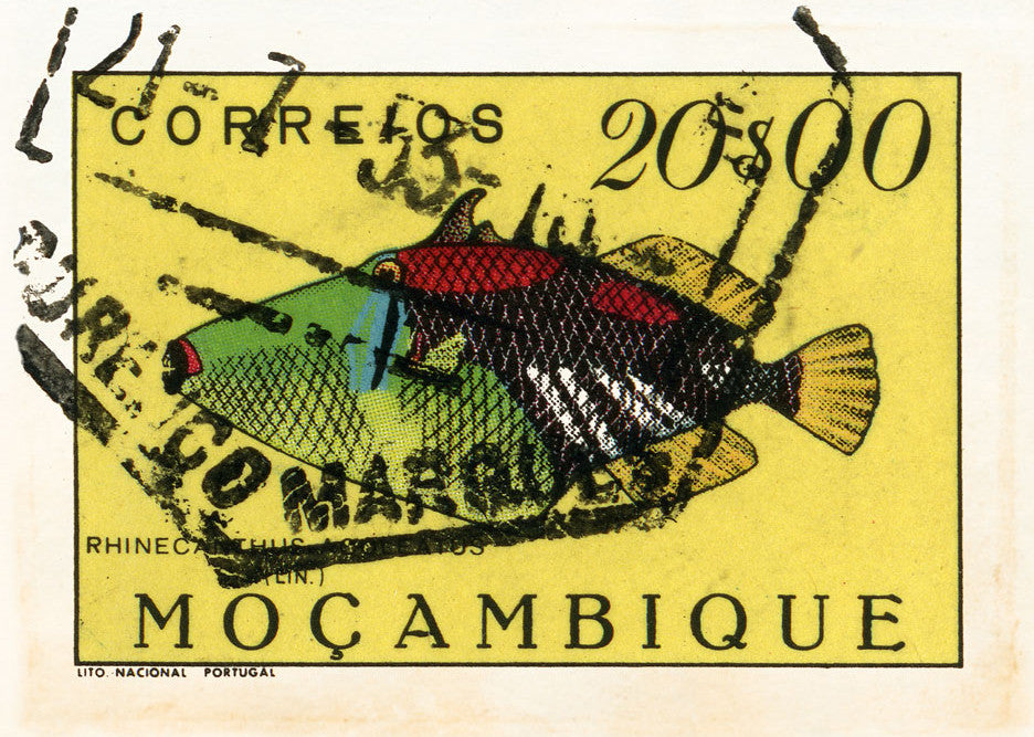 MOZAMBIQUE 16 MOZAMBIQUE 16