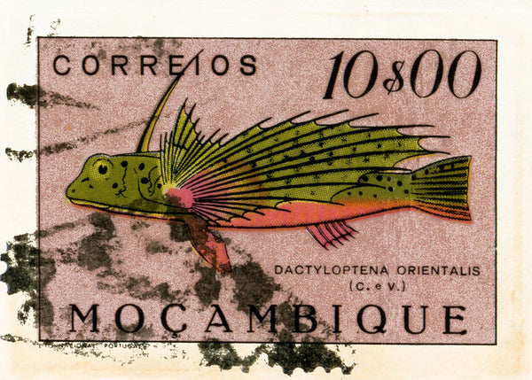 MOZAMBIQUE 3