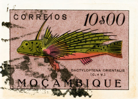 MOZAMBIQUE 3