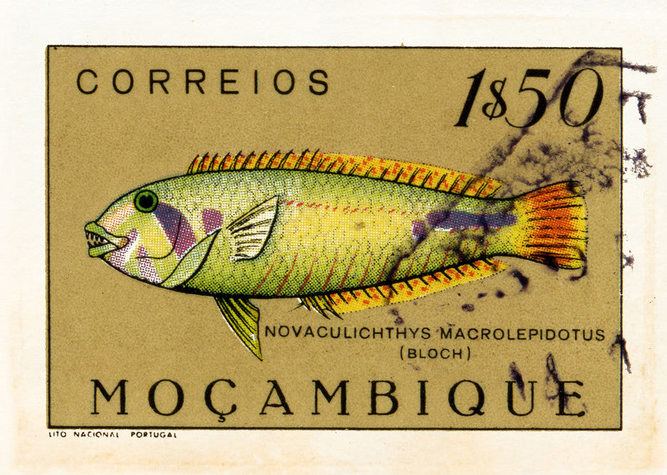 MOZAMBIQUE 4 MOZAMBIQUE 4