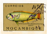 MOZAMBIQUE 4