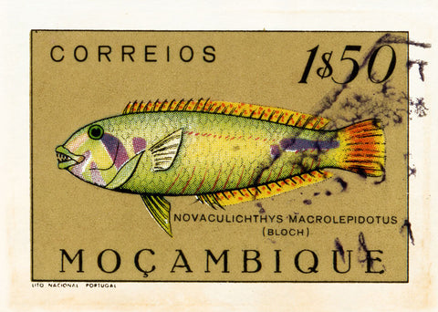 MOZAMBIQUE 4