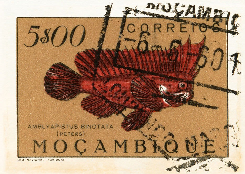 MOZAMBIQUE 5 MOZAMBIQUE 5