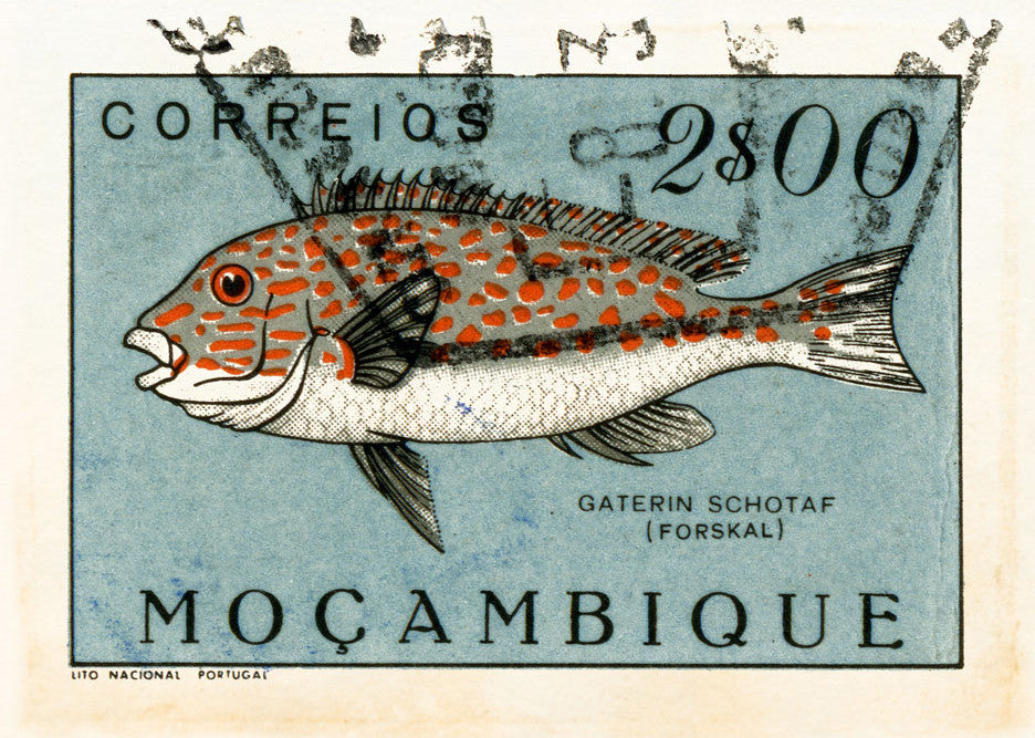 MOZAMBIQUE 6 MOZAMBIQUE 6