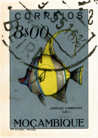 MOZAMBIQUE 7