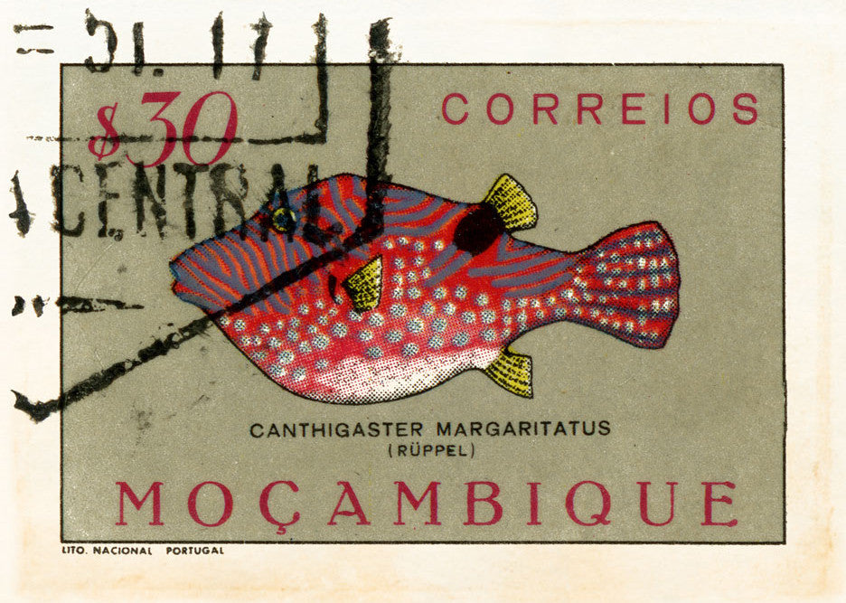 MOZAMBIQUE 8 MOZAMBIQUE 8