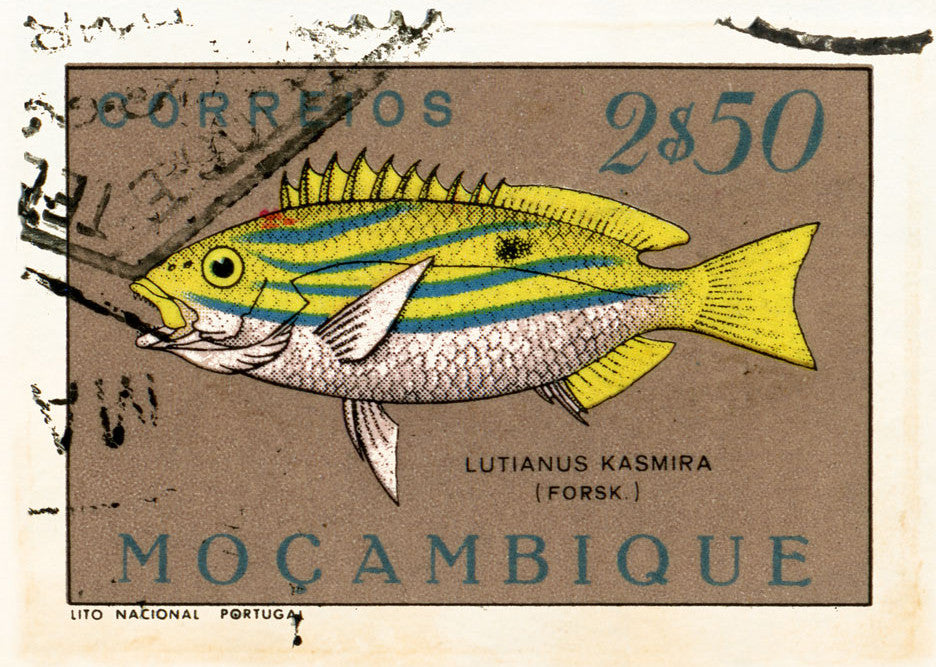 MOZAMBIQUE 9 MOZAMBIQUE 9