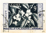 NEW CALEDONIA 10