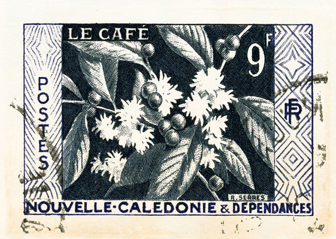 NEW CALEDONIA 10