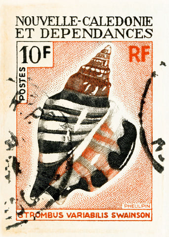 NEW CALEDONIA 3