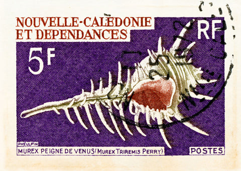 NEW CALEDONIA 4
