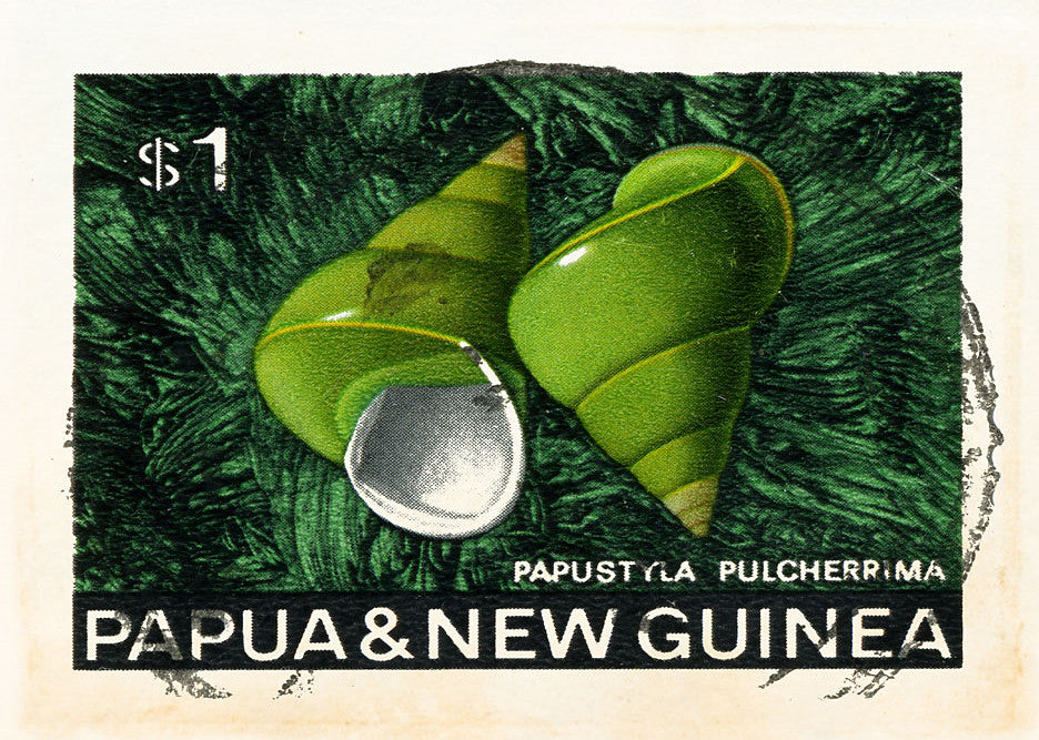 NEW GUINEA 17 8X10NEWGUINEA18