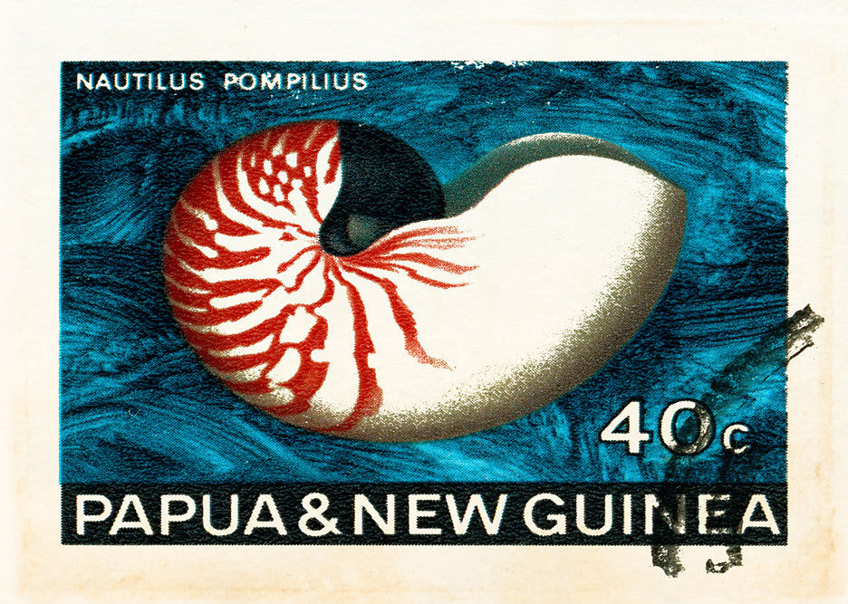 NEW GUINEA 18 NEW GUINEA 18