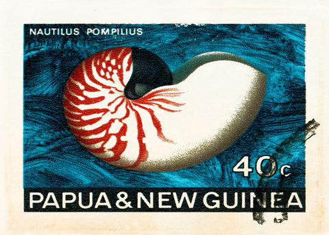 NEW GUINEA 18