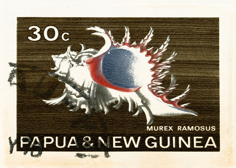 NEW GUINEA 19 NEW GUINEA 19
