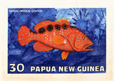NEW GUINEA 7