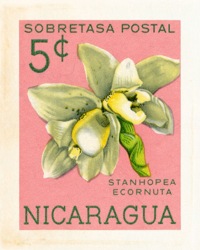 POPULAR 13 NICARAGUA 4
