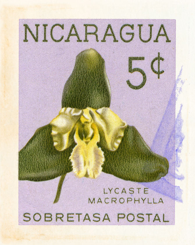 NICARAGUA 6 NICARAGUA 6