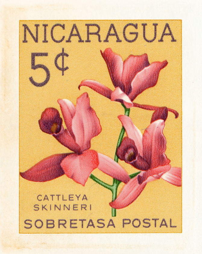 NICARAGUA 7 NICARAGUA 7