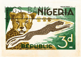 NIGERIA 7