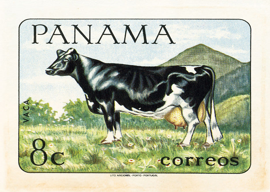 PANAMA 9 PANAMA 9