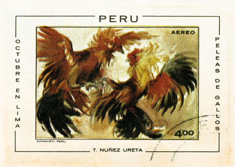 PERU 5