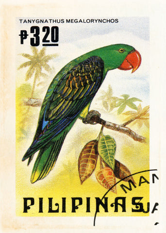 PHILIPPINES 13