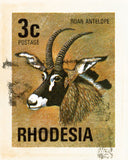 RHODESIA 4